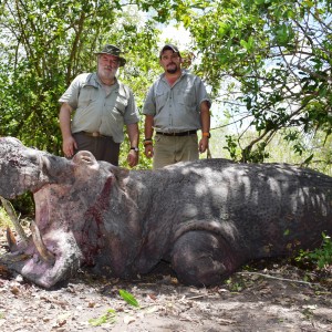 Hippo Hunting Selous 2014