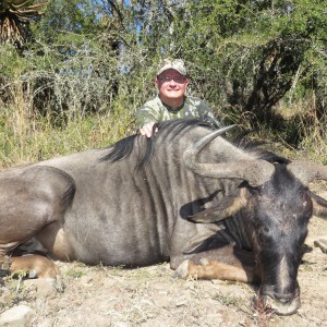 Blue Wildebeest - 2014