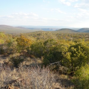 Arc Africa Hunting Safaris - Waterberg Concession