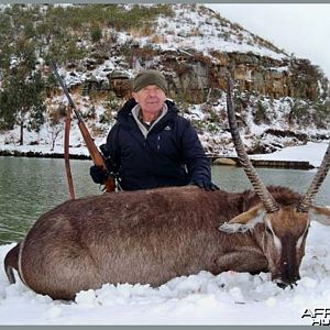 Waterbuck