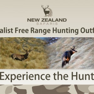 New Zealand Safaris 2015