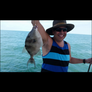 Key West Trigger Fish