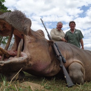 Hippo Tanzania