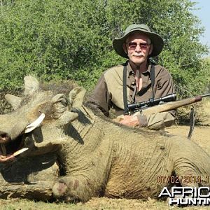 Warthog hunted at Westfalen Hunting Safaris Namibia
