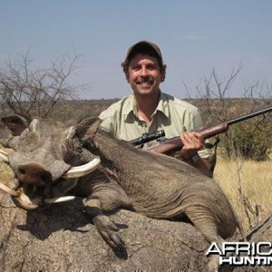 Warthog hunted at Westfalen Hunting Safaris Namibia