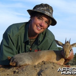 Damara Dik-Dik hunted at Westfalen Hunting Safaris Namibia