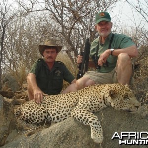 Leopard hunted at Westfalen Hunting Safaris Namibia