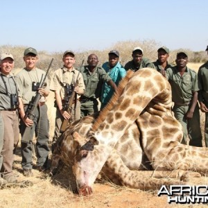 Giraffe hunted at Westfalen Hunting Safaris Namibia