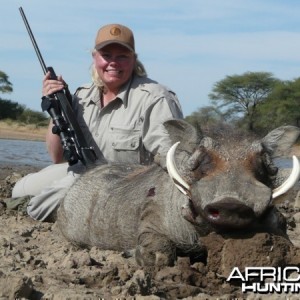 Warthog hunted at Westfalen Hunting Safaris Namibia