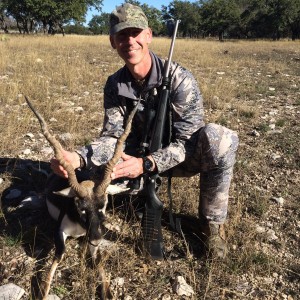 Texas free range blackbuck