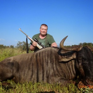 Wildebeest