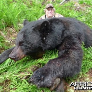 Black Bear British Columbia