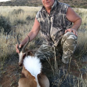 Second Common Springbok