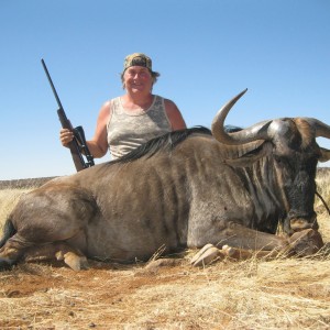 Blue Wildebeest