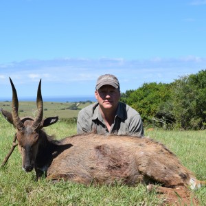 Bushbuck