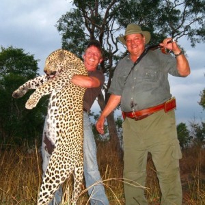 Hunting Leopard Tanzania