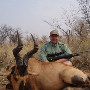 Red Hartebeest Limpopo Thornbrush country.