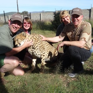Chilling with the Cheetah