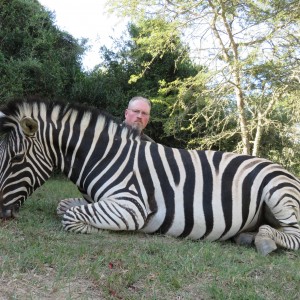 zebra