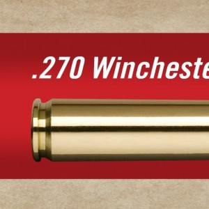 . 270 Winchester