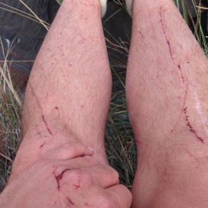 My Legs After A Day Of Barbary Sheep Hunting