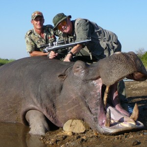 Hippo hunting