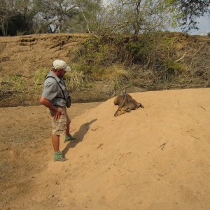 2015 Limpopo, PH setting up Bushbuck