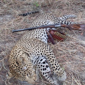 Hunting Leopard in Tanzania with Nathan Askew of Bullet Safaris