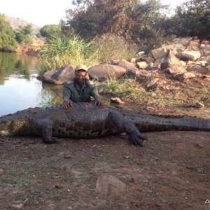 Crocodile hunt