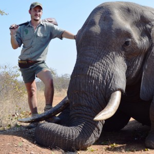 Elephant hunting South-Africa