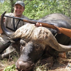 Buffalo bull hunting