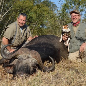 Happy client Buffalo hunt