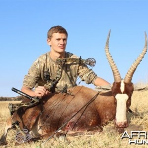 Namibia Blesbuck with bow