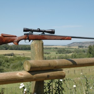 .300 Weatherby Vanguard