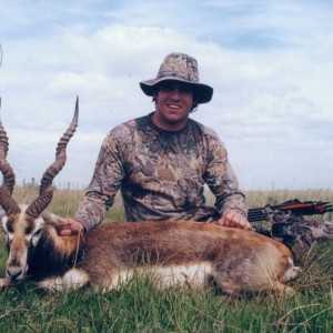 Argentina - La Pampa - Blackbuck at Poitahue Hunting Ranch