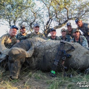 Argentina - La Pampa - water buffalo at Poitahue Hunting Ranch