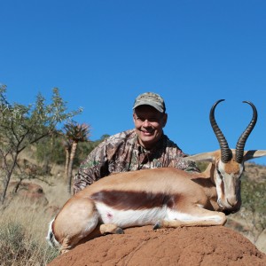 Springbok