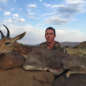 Mountain reedbuck