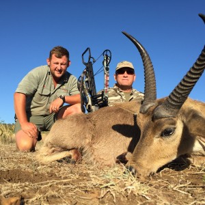 Crossbow Reedbuck