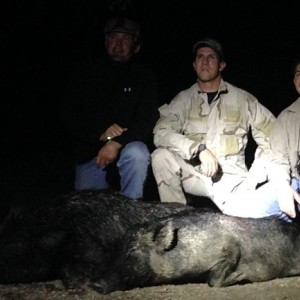 Night Vision and Thermal Pig Hunts