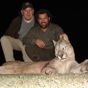 Puma Hunted in Argentina