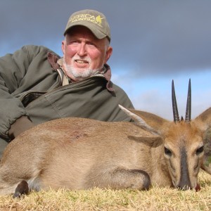 Common Duiker - Lategan Safaris