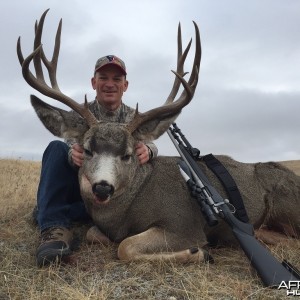 Alberta Mule Deer Hunt