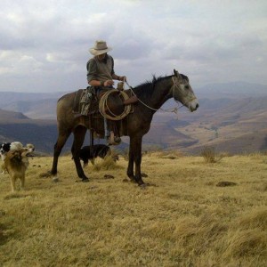 Horseback Hunts - Free Range