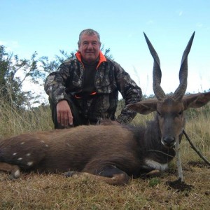 Bushbuck free range - Mankazana Valley.