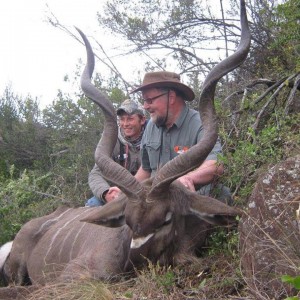 Kudu free range