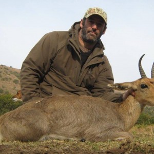 Mountain Reedbuck from Mankazana Valley.