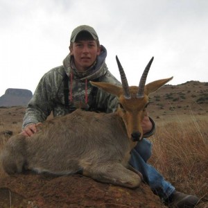 Mountain Reedbuck - Free Range