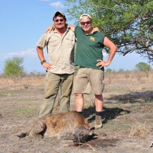 Hunting in the Selous Spotted Hyena