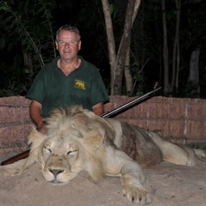 Hunting in the Selous Lion